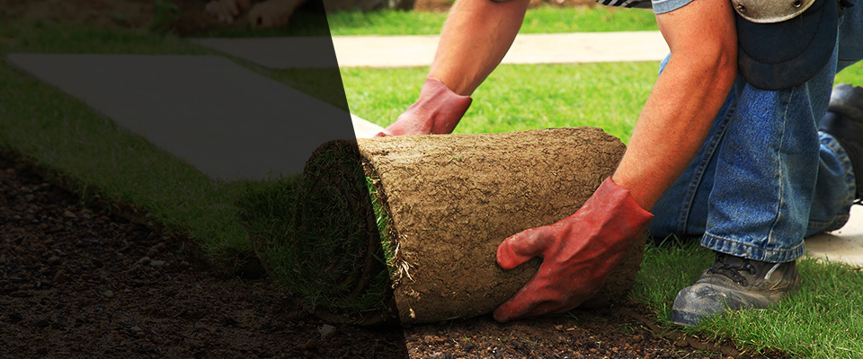 Ona Landscapers